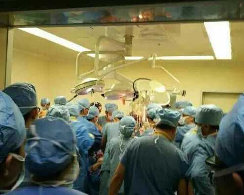 哪种胚胎成功率更高