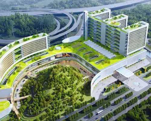 南京正规妈妈代孕公司,美国试管婴儿囊胚移植和普通胚胎移植有什么区别？-南