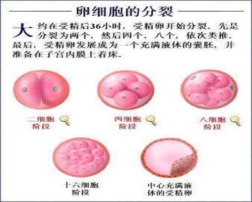 南京供卵私人生殖中心_南京供胚移植试管婴儿